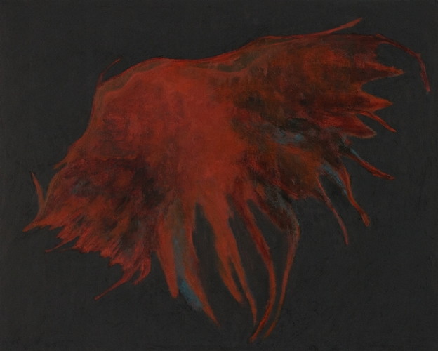 Sea Wing