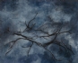 Sound of the Universe, Part 2