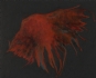 Sea Wing